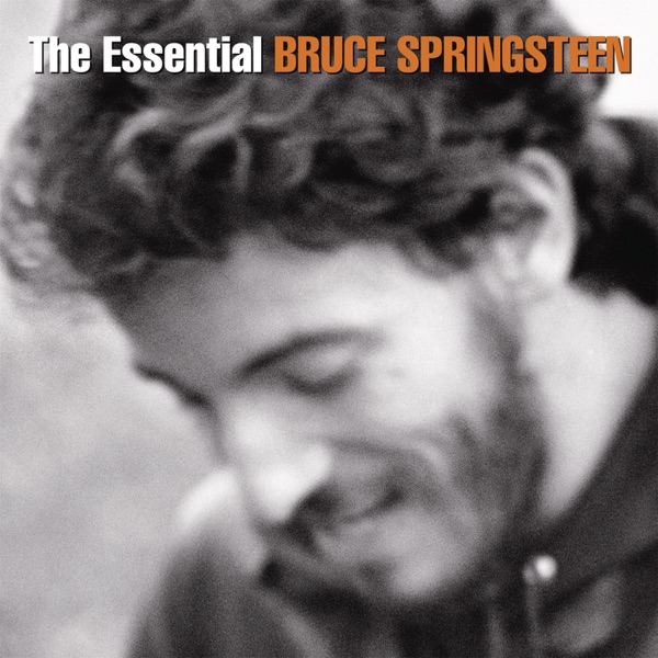 Coverbild von Bruce Springsteen - The River